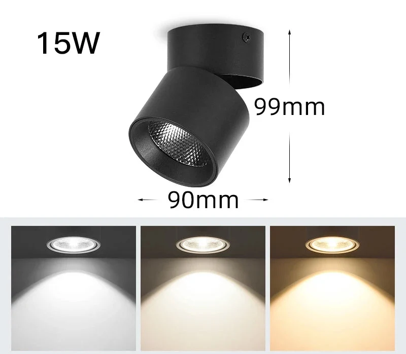 Luminaire Spot / LAPIXE