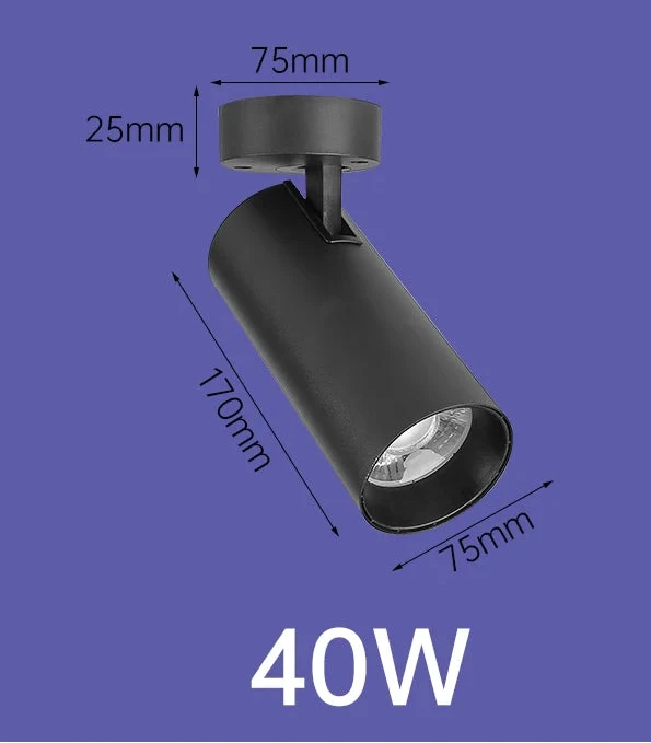 Luminaire Spot / LAPIXE
