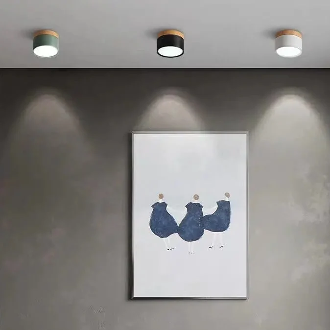 Luminaire Spot / BALLE