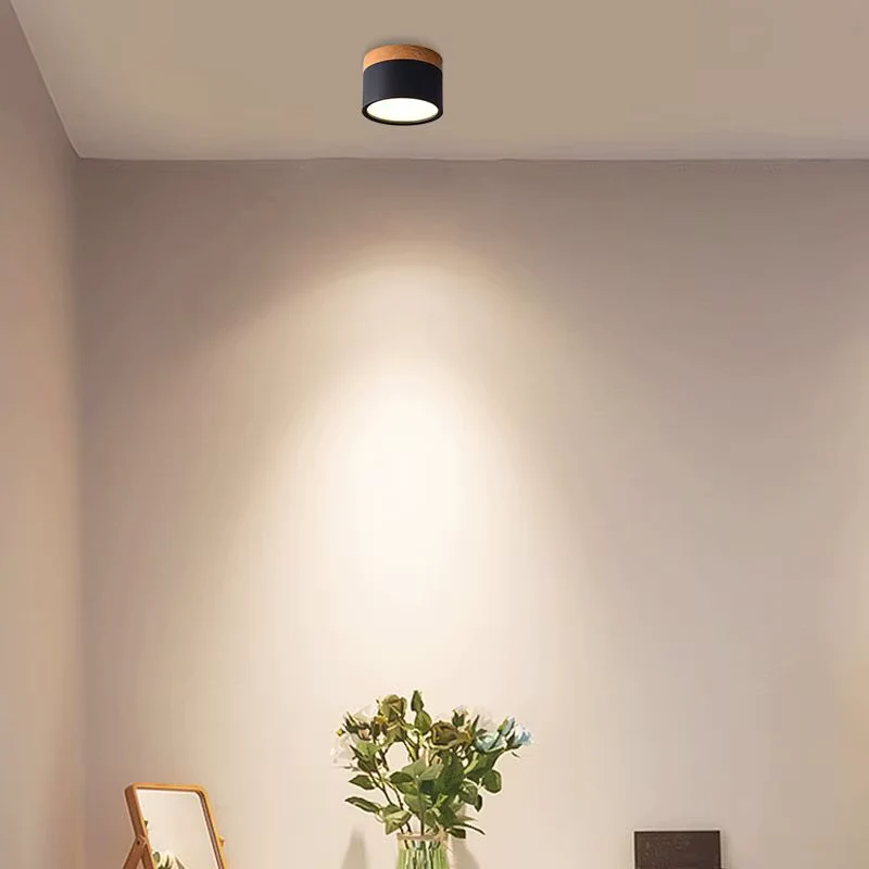 Luminaire Spot / BALLE