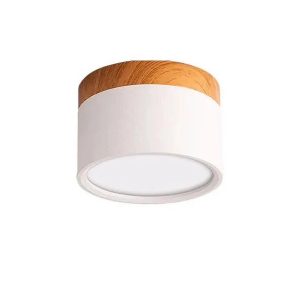 Luminaire Spot / BALLE