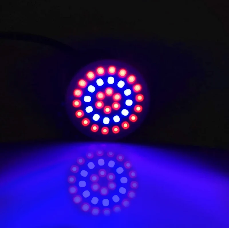 Ampoule G10 Led Encastrable Fluorescent (36,54,72 leds)