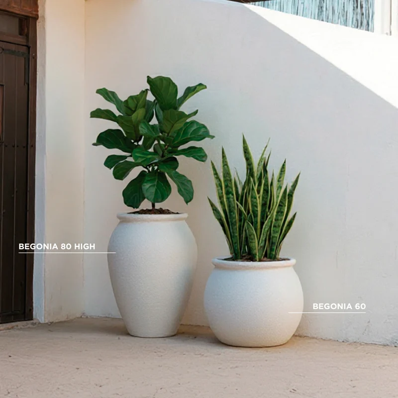 Vaso tondo BEGONIA 60