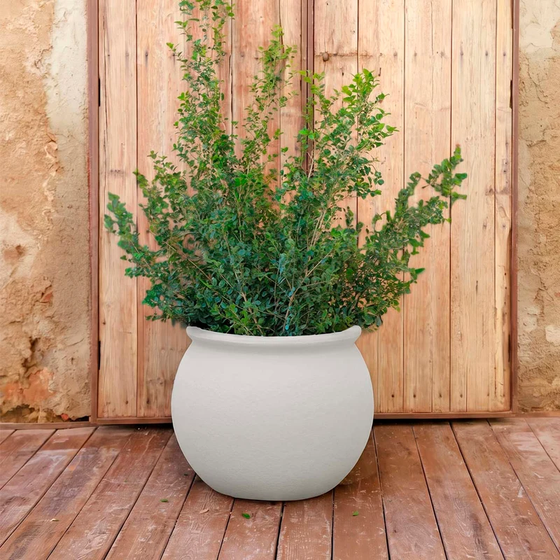 Vaso tondo BEGONIA 60