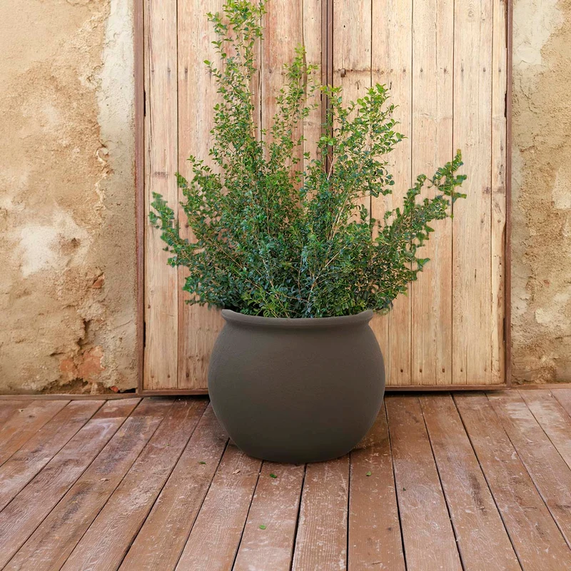 Vaso tondo BEGONIA 60