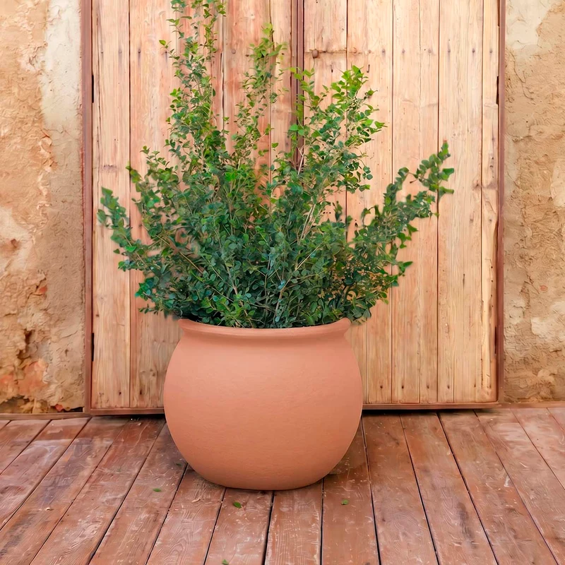 Vaso tondo BEGONIA 60