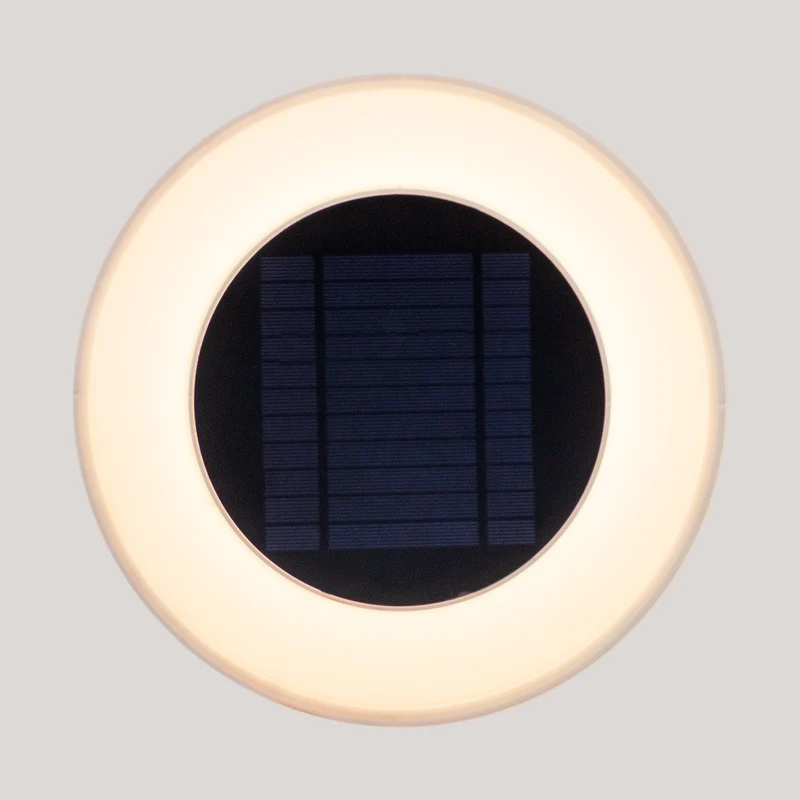Confezione da 2 pezzi - Applique rotonda WALLY DISK con carica solare