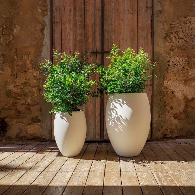 Vaso tondo ALOE 55