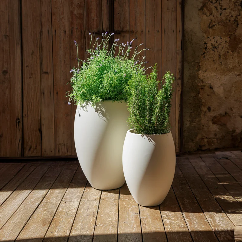 Vaso tondo ALOE 55