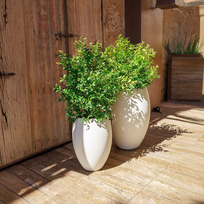 Vaso tondo ALOE 55