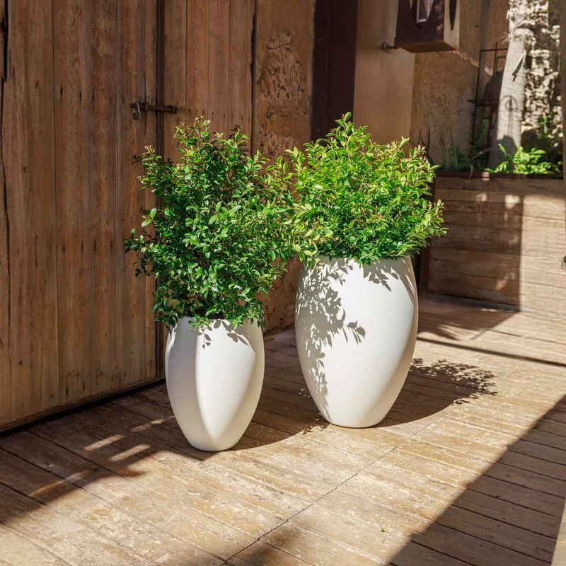 Vaso tondo ALOE 55