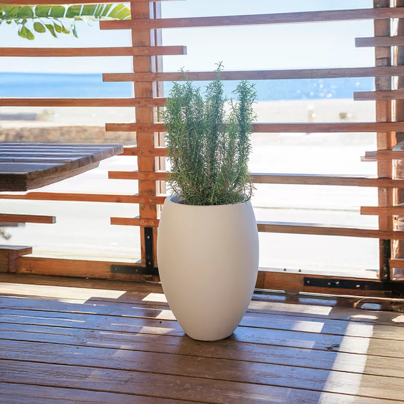 Vaso tondo ALOE 55
