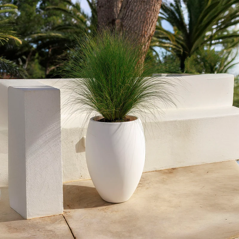Vaso tondo ALOE 45