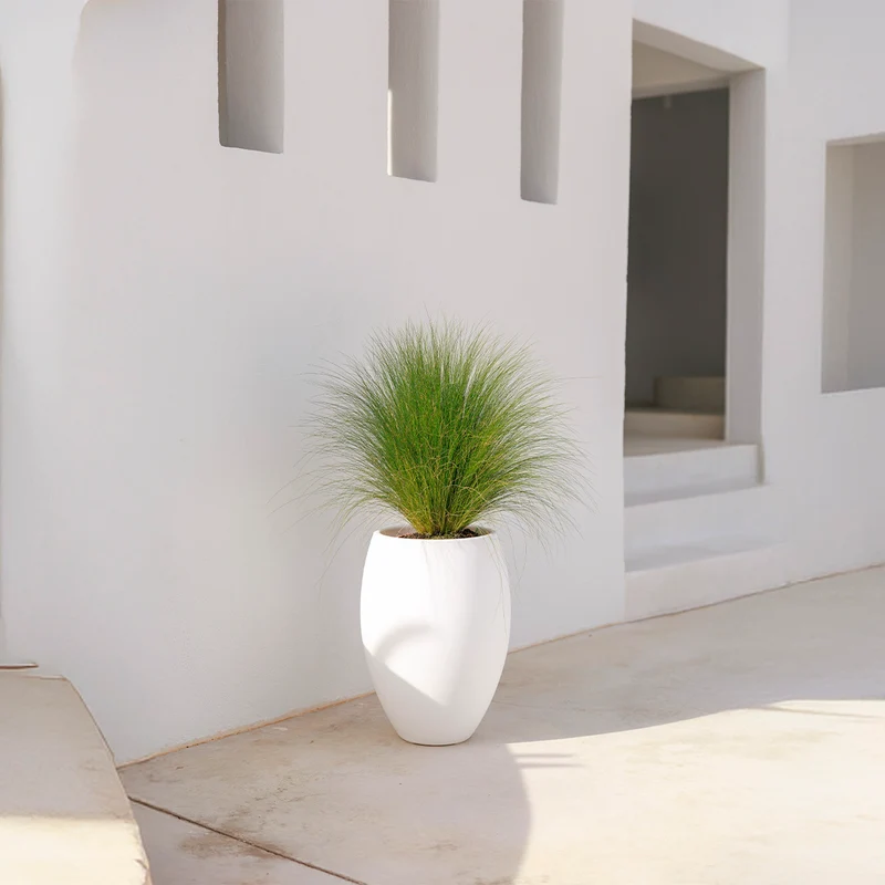 Vaso tondo ALOE 45