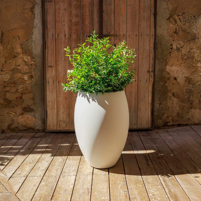 Vaso tondo ALOE 45