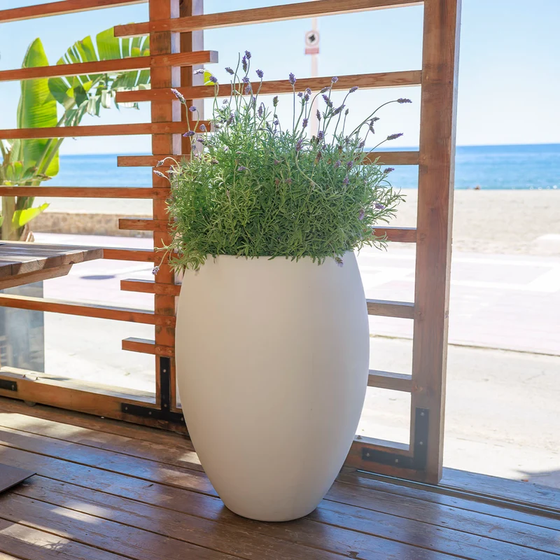 Vaso tondo ALOE 45