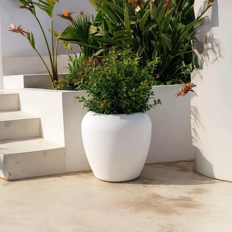 Vaso tondo ARECA 80