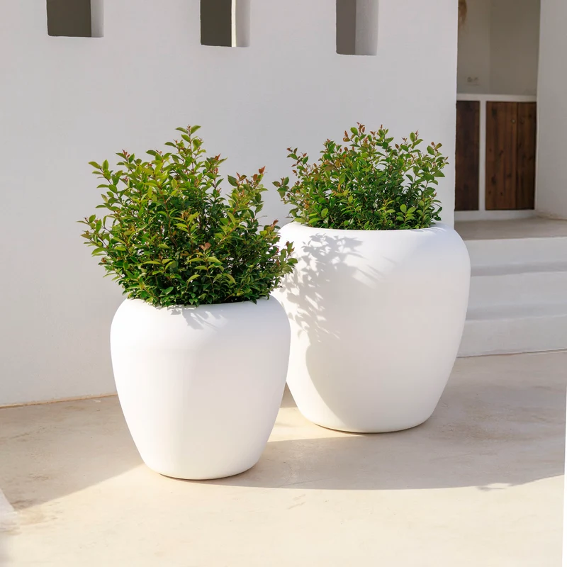 Vaso tondo ARECA 80
