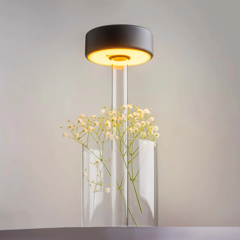 AI - Lampe portative rechargeable, pot de fleur intégré