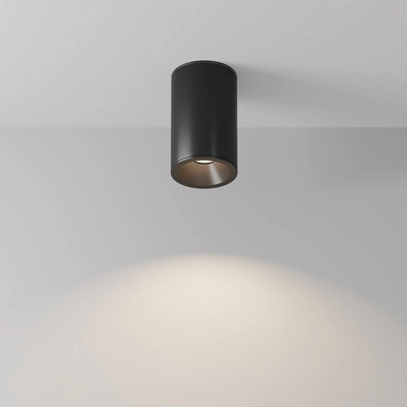 Zoom - Spot en saillie rond étanche en acier, style contemporain