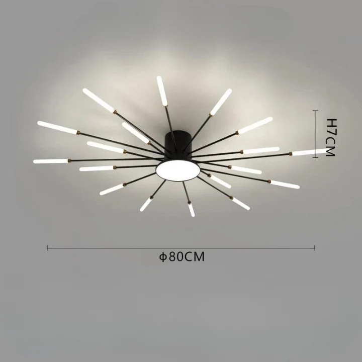 Luminaire Plafonnier / WIZORT
