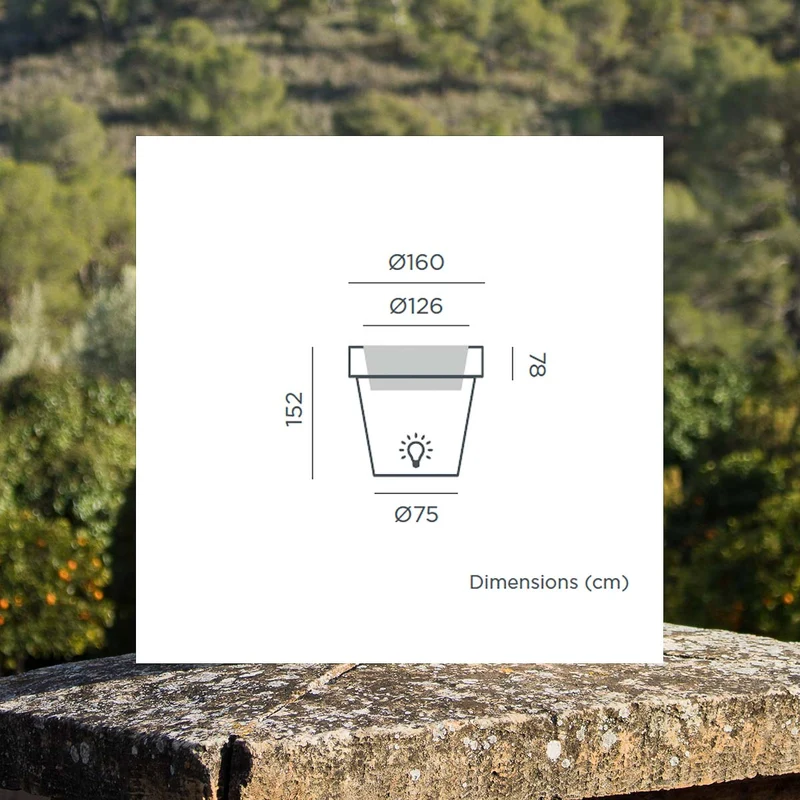 Vaso grande con luce MAGNOLIA 160CM