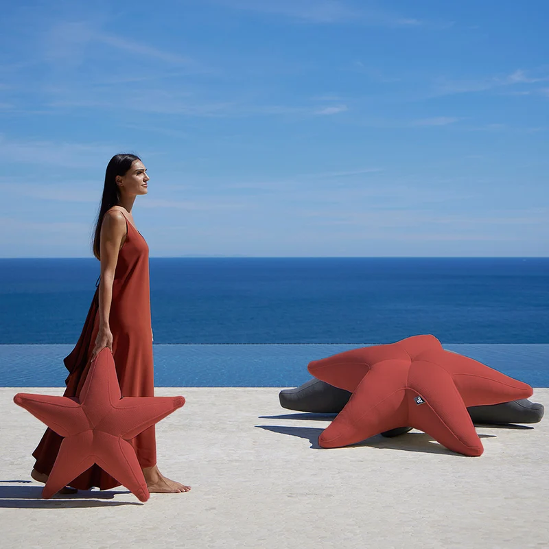 Stella marina galleggiante Starfish