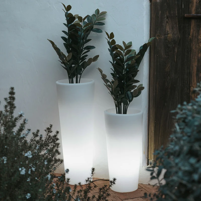 VASO ALTO FICUS 80 CON LUCE