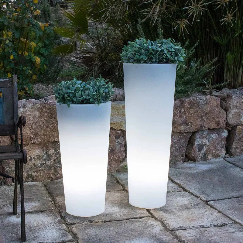 VASO ALTO FICUS 80 CON LUCE