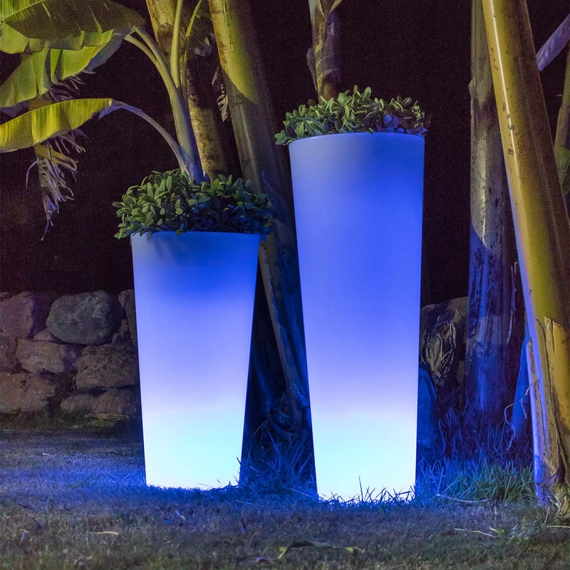 VASO ALTO FICUS 80 CON LUCE