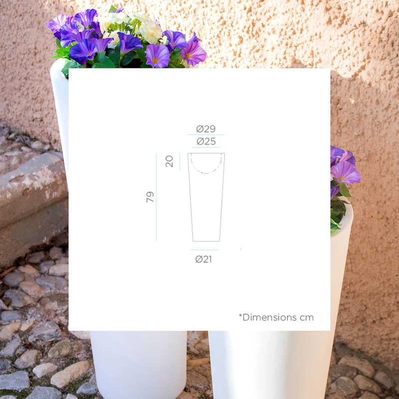 VASO ALTO FICUS 80 CON LUCE