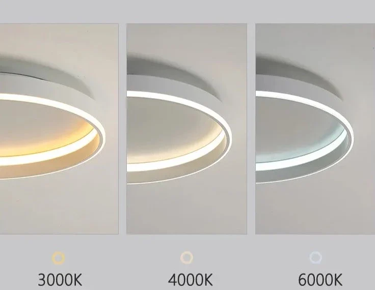 Luminaire Plafonnier / HALOA