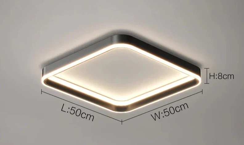 Luminaire Plafonnier / HALOA
