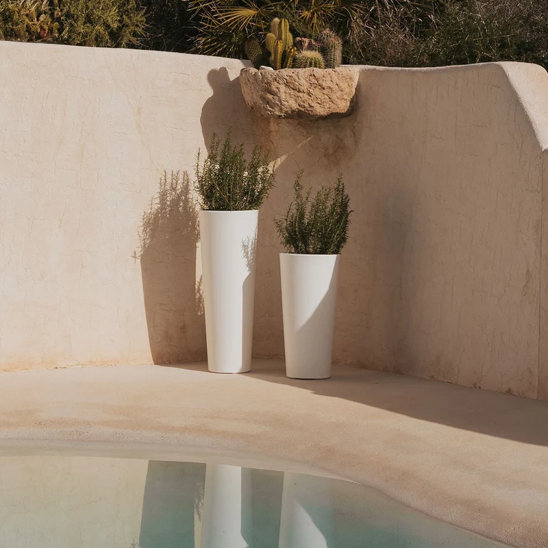 VASO ALTO FICUS 80