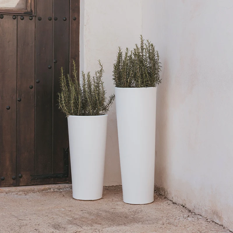 VASO ALTO FICUS 80