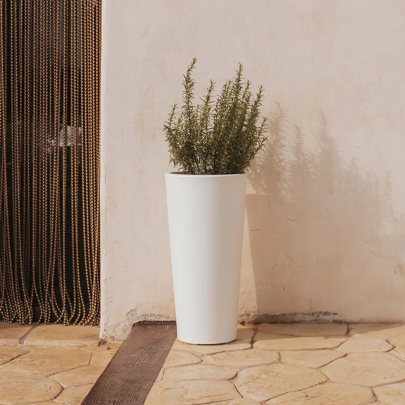 VASO ALTO FICUS 80