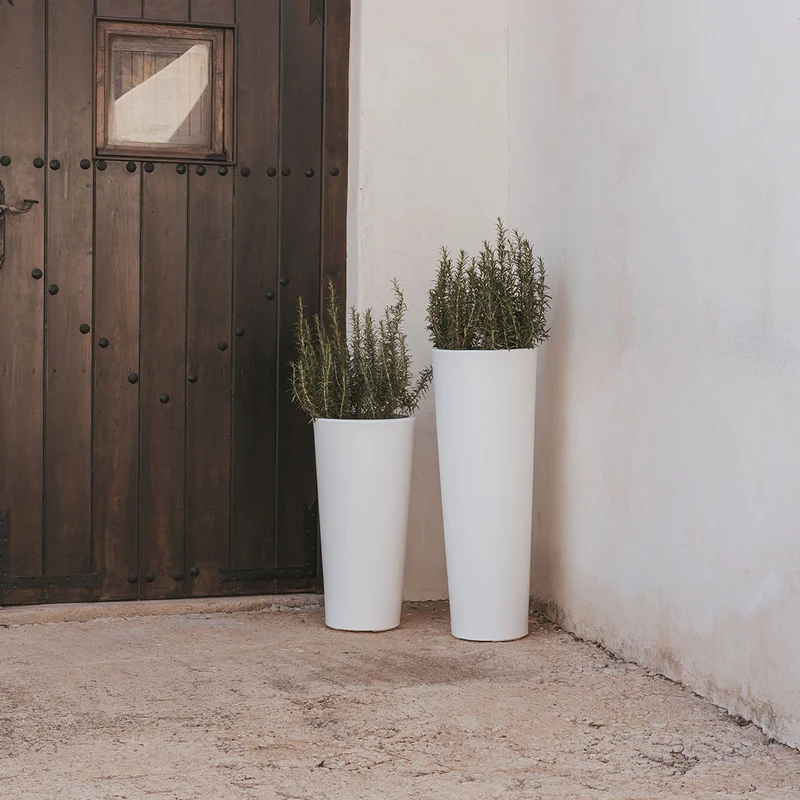 VASO ALTO FICUS 80