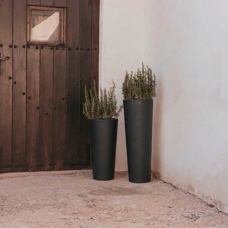 VASO ALTO FICUS 80