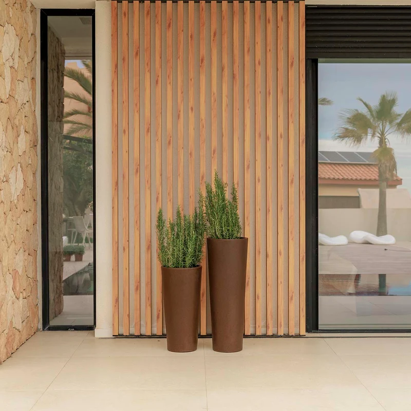 VASO ALTO FICUS 80