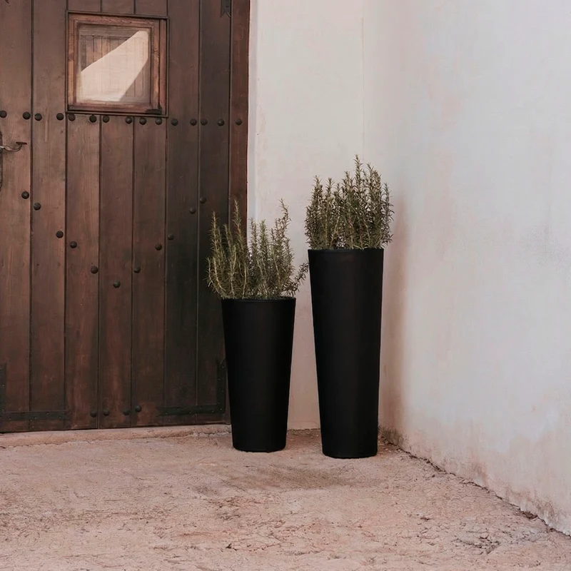 VASO ALTO FICUS 80