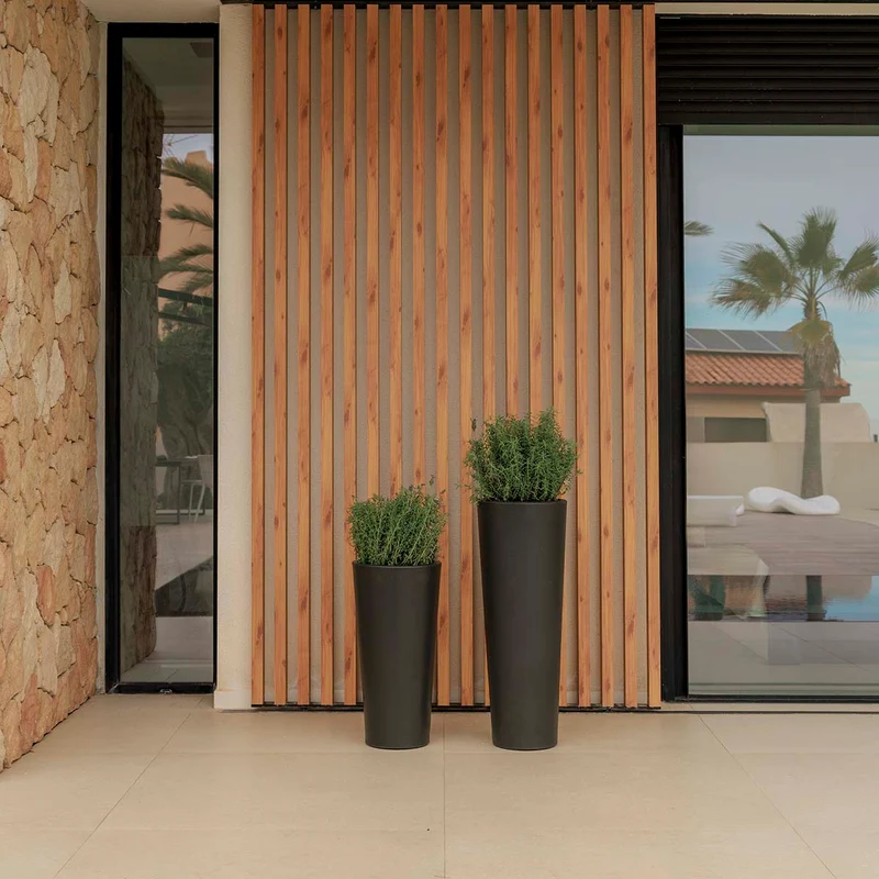 VASO ALTO FICUS 80