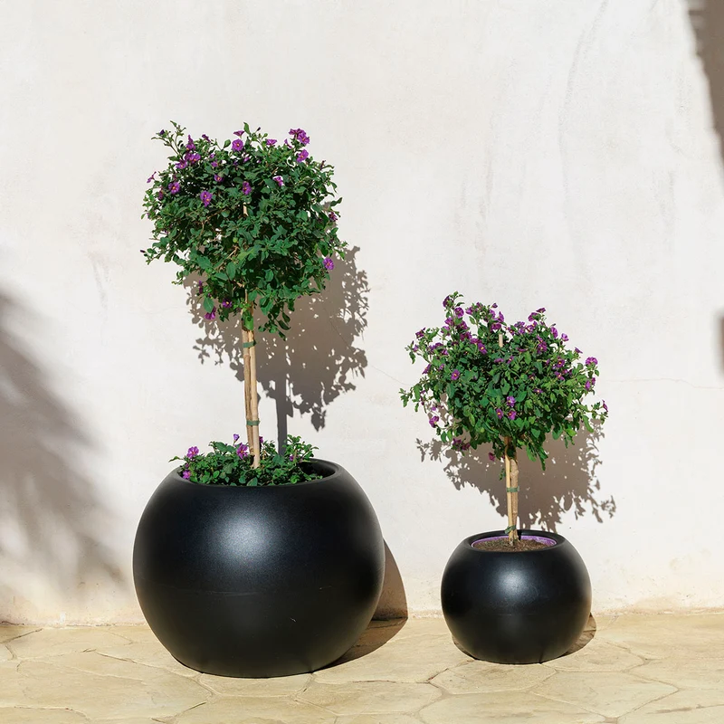 VASO ROTONDO DALIA 50