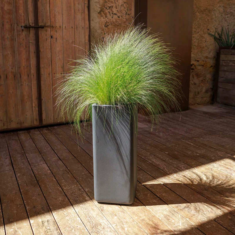 Vaso rettangolare su ruote BROMELIA 28