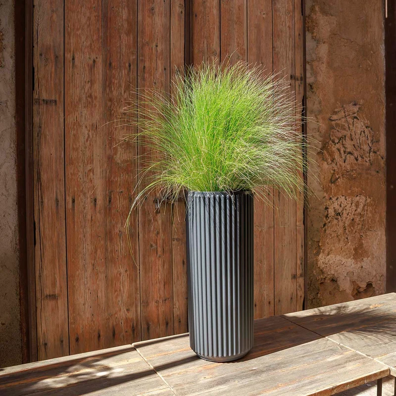 VASO CILINDRICA MARANTA 30 x 40