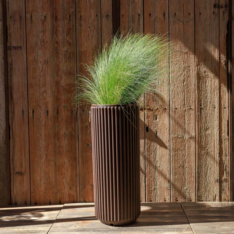 VASO CILINDRICA MARANTA 30 x 40