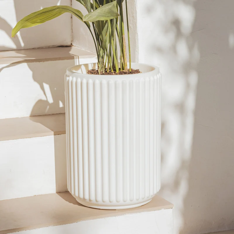 VASO CILINDRICA MARANTA 30 x 40