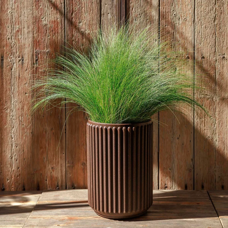 VASO CILINDRICA MARANTA 30 x 40