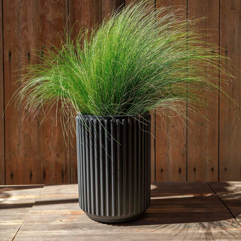 VASO CILINDRICA MARANTA 30 x 40