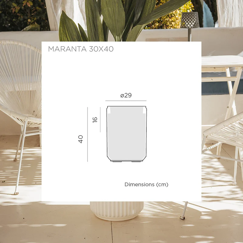 VASO CILINDRICA MARANTA 30 x 40