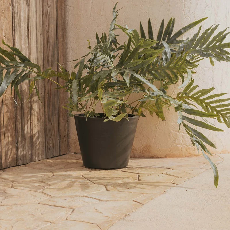 Vaso rotondo PETUNIA 36